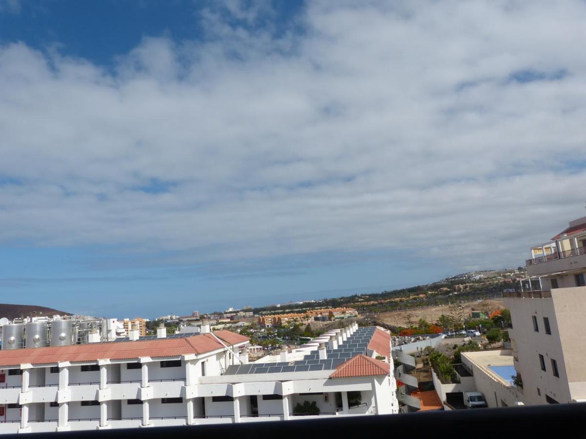 Suncanarias Estudio Summerland *